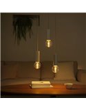 Bombilla inteligente LED Globo G95 E27, LIGHTGUIDE, con tubo interior brillante 2000K-6500K +color