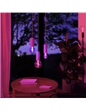 Bombilla inteligente LED Globo G95 E27, LIGHTGUIDE, con tubo interior brillante 2000K-6500K +color
