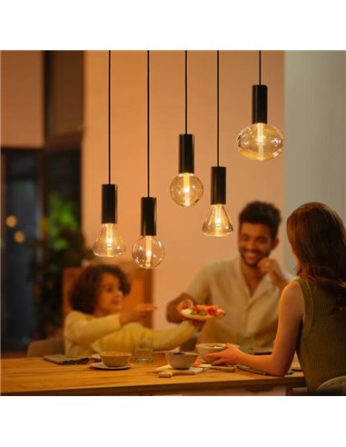 Bombilla inteligente LED Globo G95 E27, LIGHTGUIDE, con tubo interior brillante 2000K-6500K +color