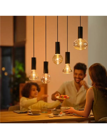 Lâmpada inteligente grande G125 E27 Globe LED, LIGHTGUIDE, com tubo interno brilhante 2000K-6500K +cor