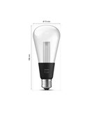 Ampoule intelligente LED Edison ST72 E27 Ø72mm, LIGHTGUIDE, avec tube intérieur lumineux 2000K-6500K +couleur