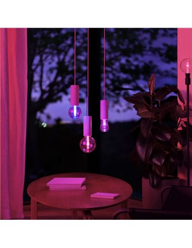 Lâmpada inteligente LED Edison ST72 E27 Ø72mm, LIGHTGUIDE, com tubo interno brilhante 2000K-6500K +cor