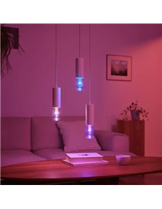 Ampoule intelligente LED Edison ST72 E27 Ø72mm, LIGHTGUIDE, avec tube intérieur lumineux 2000K-6500K +couleur 2