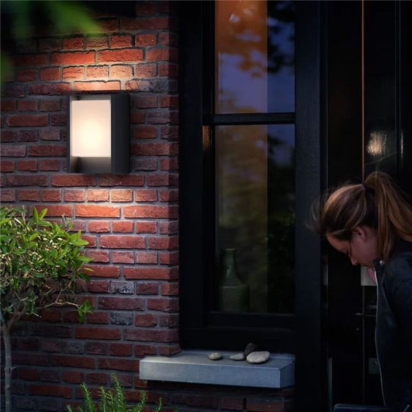 Applique d'extérieur ARBOR Ultra Efficace, anthracite, étanche, 3,8W 3000K