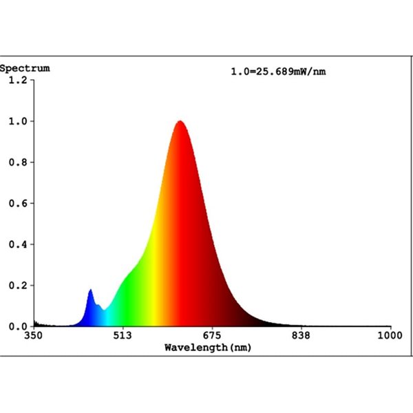 Ampoule LED décorative dimmable grande taille PS160, Ambre 8W 2100K E27, filament