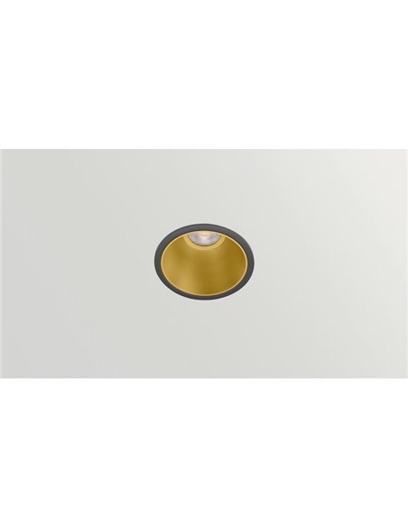 Downlight LED embutido BUDDY MEDIUM, 43º, de 4 a 6,6W, 760Lm-1150Lm, 2700K/3000K/4000K/3500K, várias cores