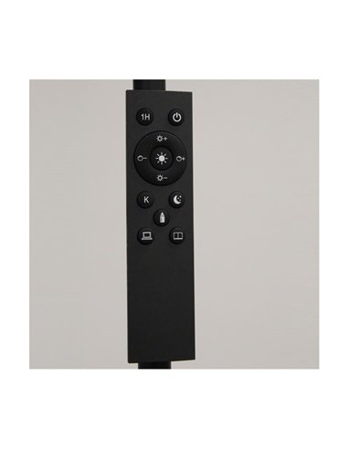 Lámpara de pie LED de metal negro, DENZEL 24W, 2200Lm CCT 2700K-4000K-6500K con mando a distancia imantado