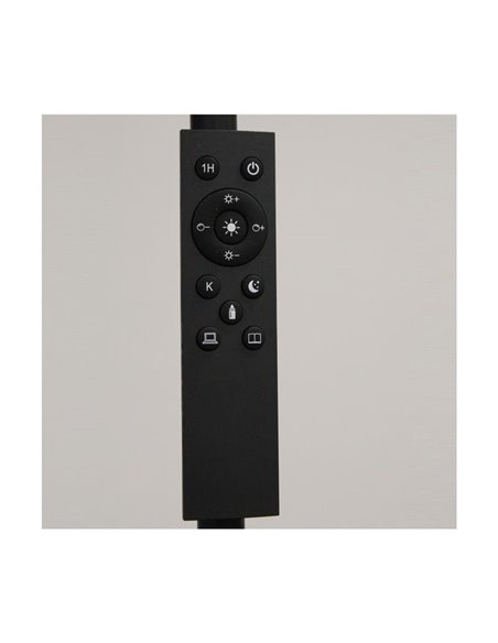 Lámpara de pie LED de metal negro, DENZEL 24W, 2200Lm CCT 2700K-4000K-6500K con mando a distancia imantado