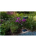 Baliza LED solar con estaca al suelo SPIDO, de diseño elegante negro, 10,5W, 900Lm, 3000K