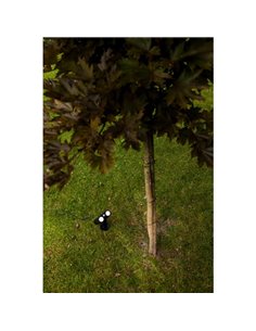 Proyector de suelo LED con panel solar BINGO, con detector de movimiento 8,2W, 800Lm, 5000K 2