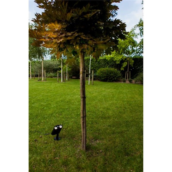 Proyector de suelo LED con panel solar BINGO, con detector de movimiento 8,2W, 800Lm, 5000K