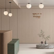 Deckenleuchten mit Schirm